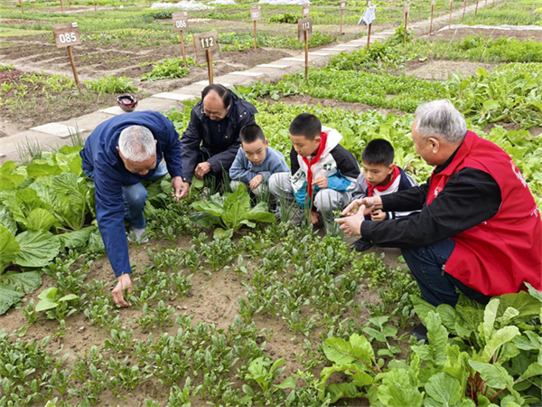 图片4.png 图片4.png