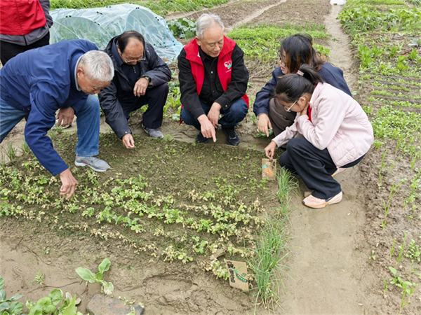 图片3.png 图片3.png