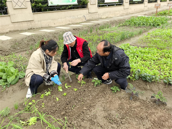 图片2.png 图片2.png